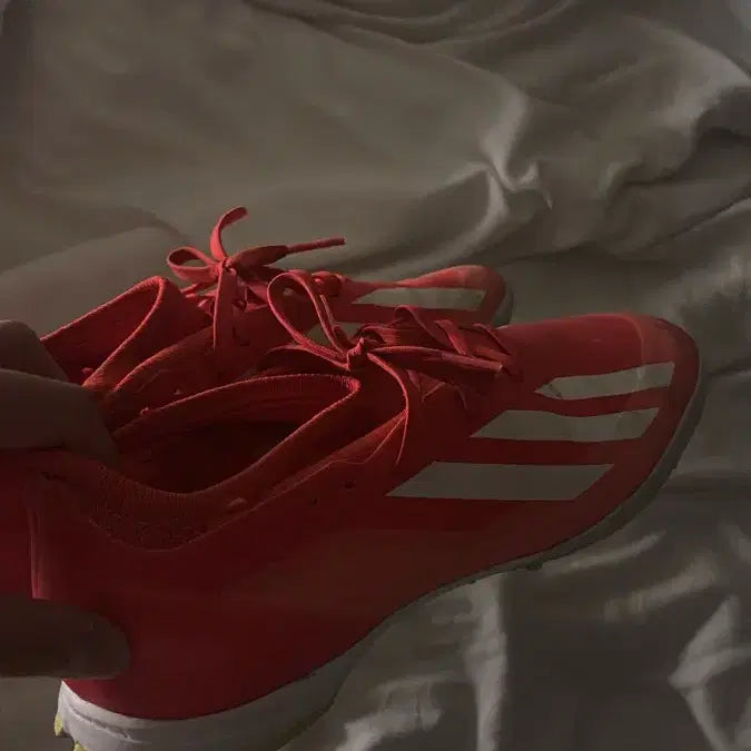 [BUNJANG] Adidas Crazy Futsal Shoes / 아디다스 풋살화 크레이지