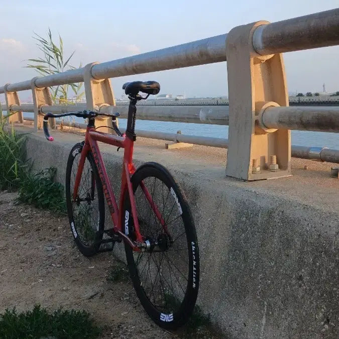 [BUNJANG] A-Pain 2020 Matt Red Bicycle Frame / 어베인 대차