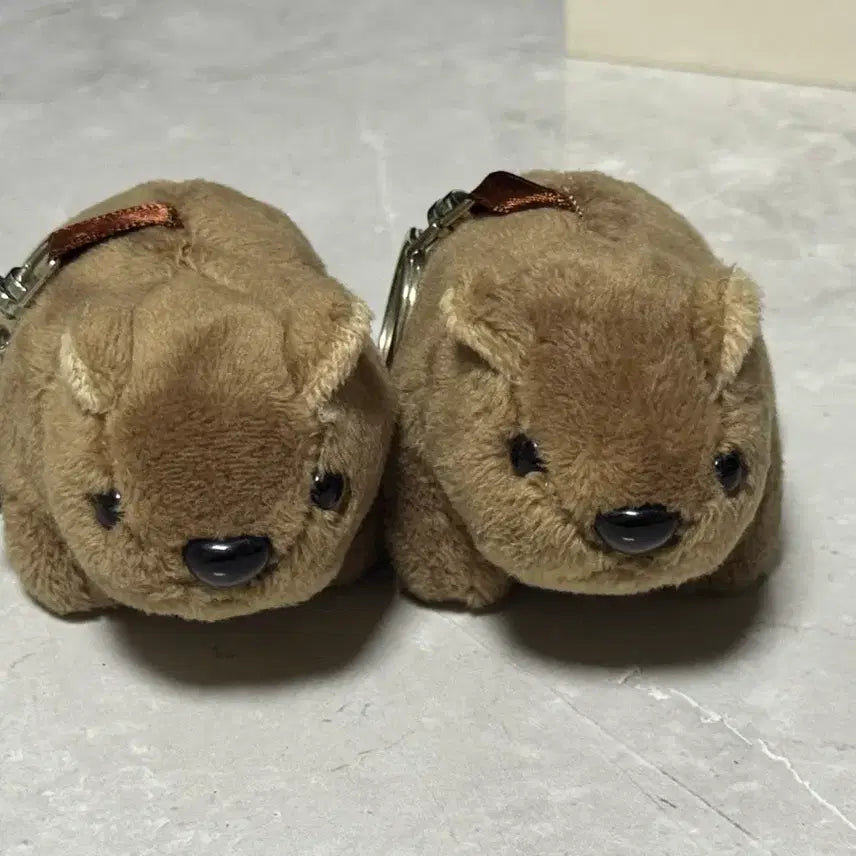 [BUNJANG] Wombat Plush Keychain / 호주 기념품 웜뱃 웜벳 키링 인형 여행선물