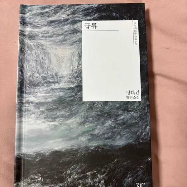 [BUNJANG] Jeong Dae-geon Signed Novel 'Geumpyu' / 급류 정대건 장편소설 싸인본 사인본 책 판매양도