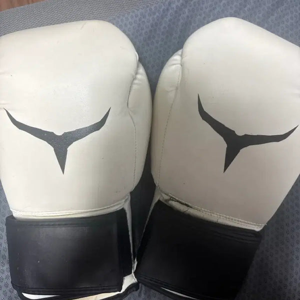 [BUNJANG] Twisco Boxing Gloves 14oz / 투이스코 글러브 14oz