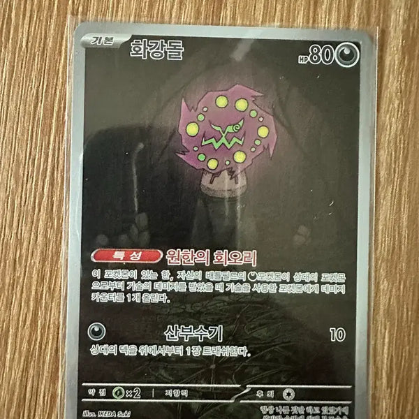 [BUNJANG] Pokemon Card Stonejourner AR / 포켓몬카드 화강돌ar