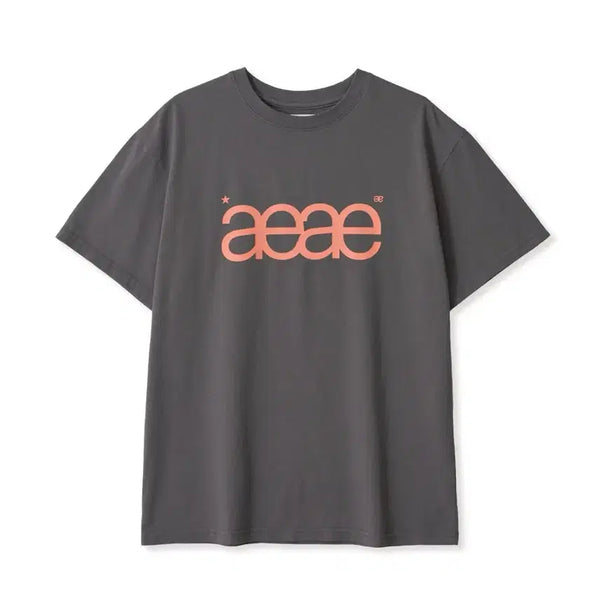 [BUNJANG] AEAE Grey Logo T-Shirt / aeae 그레이 로고 반팔티