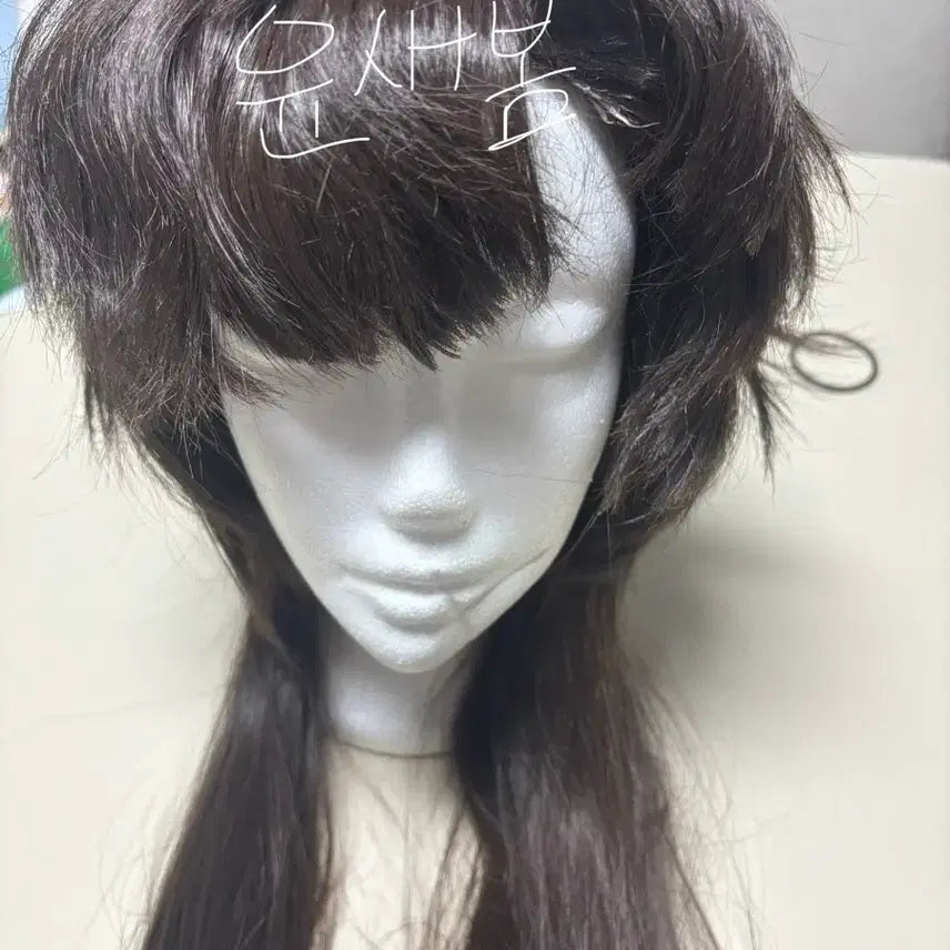 [BUNJANG] Magic Kaito Aoko Nakamori Setting Wig / 매직카이토 나카모리 아오코 임청아 세팅가발