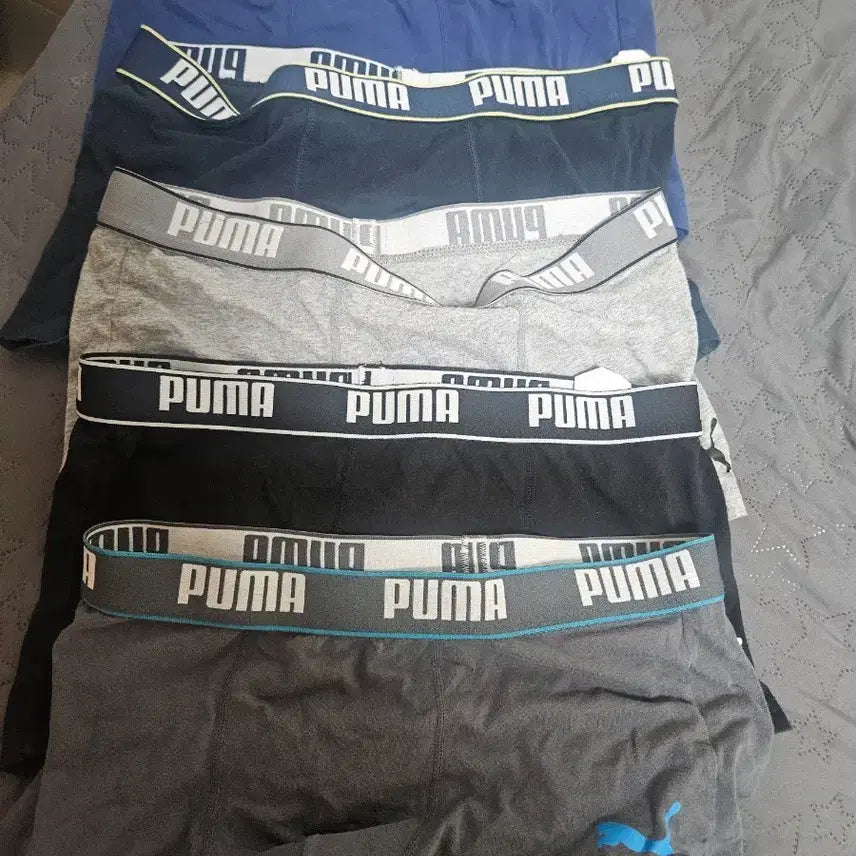 [BUNJANG] Puma Cotton Briefs - 5 Pack / 퓨마 순면팬티 5종