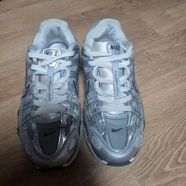 [BUNJANG] Nike P-6000 Metallic Silver Shoes / 나이키 P-6000 메탈릭 실버 (260)