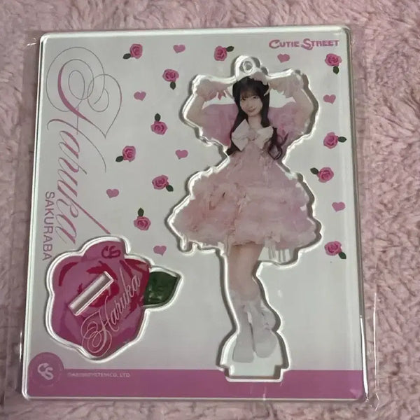 [BUNJANG] Cutestreet Haruka Sakuraba Acrylic Standee / 큐티스트리트 하루카 아크릴스탠드 양도 파루 아크스타 큐스토 사쿠라바