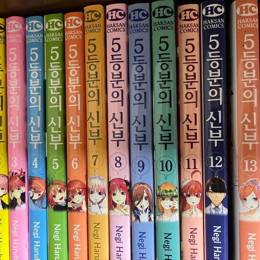 [BUNJANG] The Quintessential Quintuplets Complete Manga Set / 5등분의 신부 만화책 전권 판매합니다
