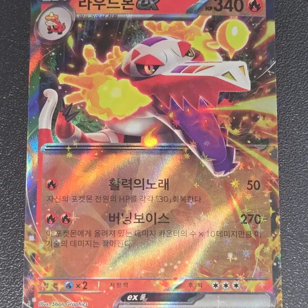 [BUNJANG] Pokemon Card Loudred EX RR / 포켓몬 카드 라우드본EX RR