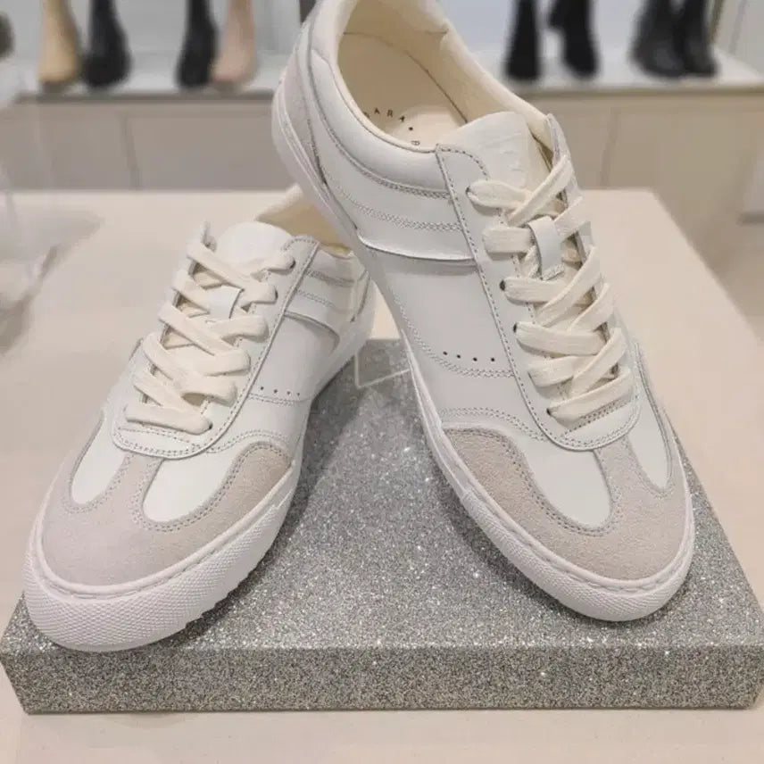 [BUNJANG] Barbara Men's Sneakers White / 바바라 남성 스니커즈 (화이트)