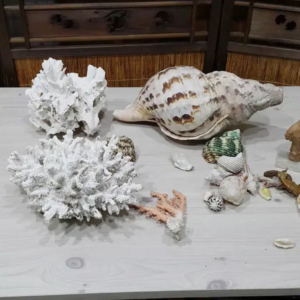 [BUNJANG] Aquarium Decor Bundle - Read Description / 수족관용 어패류 일괄/내용필독