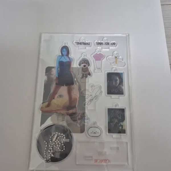 [BUNJANG] Taeyeon Odd Concert Acrylic Standee (Sealed) / [미개봉] 태연 오드콘 아크릴 스탠드 굿즈