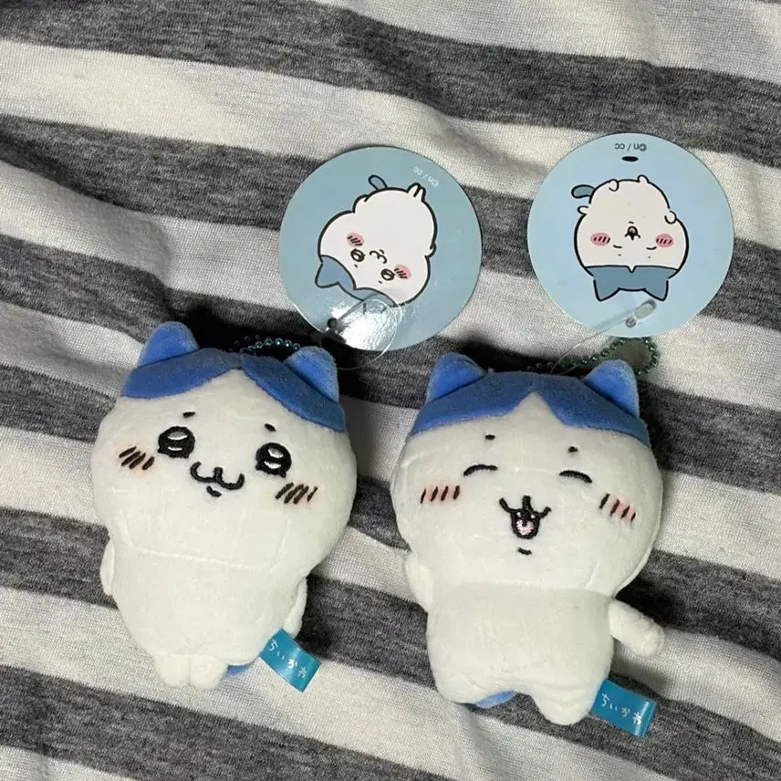 [BUNJANG] Hachiware Bundle Set (Puffed Up, Bangs) / (일괄) 우쭐 하치와레, 앞머리 하치와레