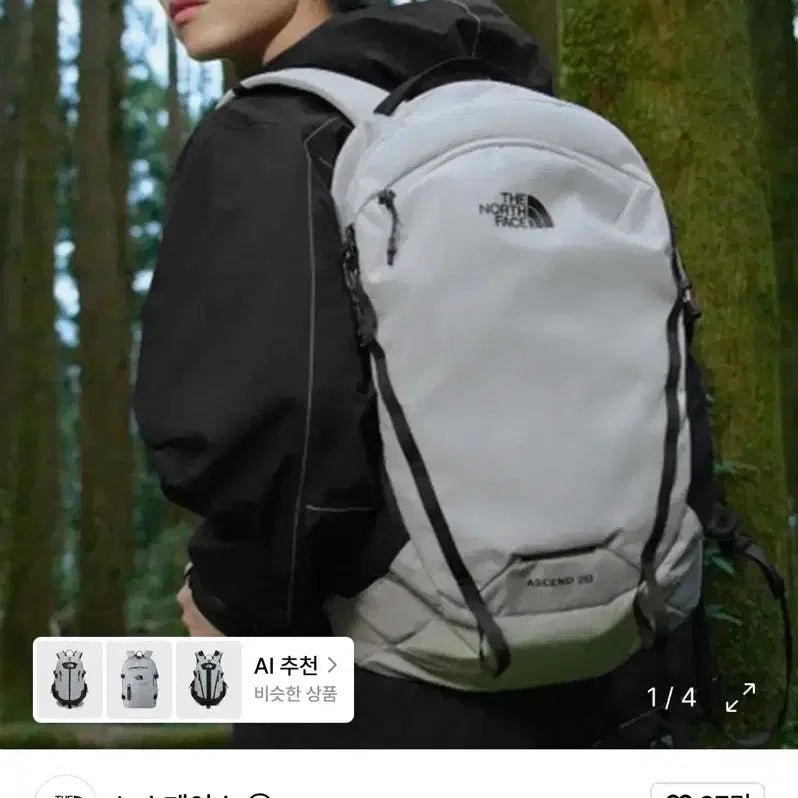 [BUNJANG] The North Face Ascend 20 Stone Grey / 노스페이스 어센드 20 스톤그레이