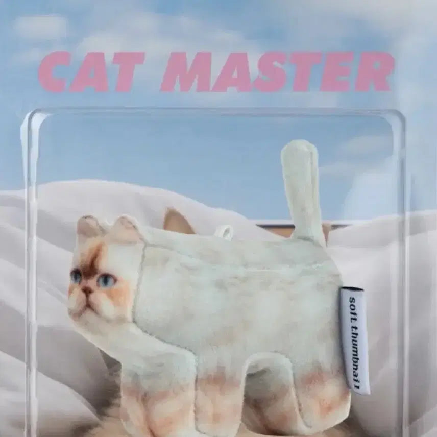 [BUNJANG] Soft Nail Cat Keychain / 소프트썸네일 고양이 키링 팝니다