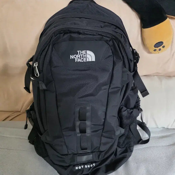 [BUNJANG] The North Face Hot Shot Backpack / 노스페이스 핫샷