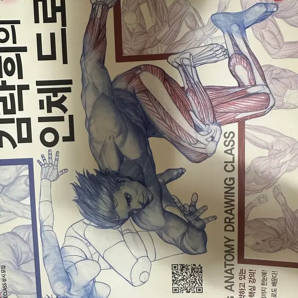 [BUNJANG] Kim Rakhee's Human Anatomy Drawing / 김락희의 인체 드로잉