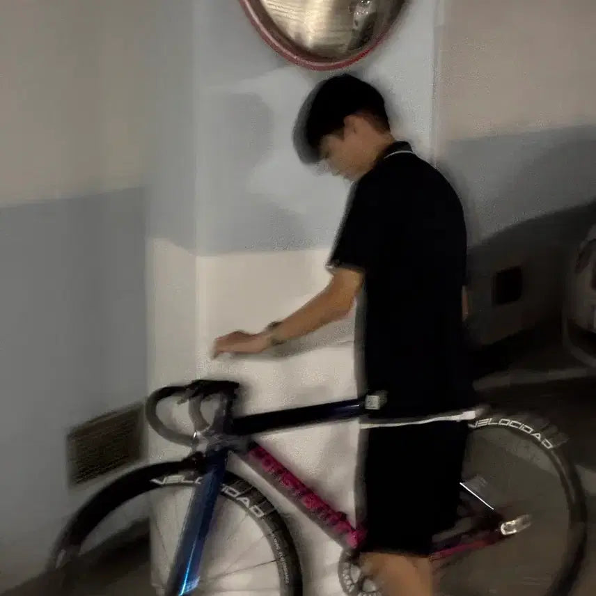 [BUNJANG] 2025 Constantine Urban Chameleon Bicycle / 콘스탄틴 어베인 카멜레온 2025