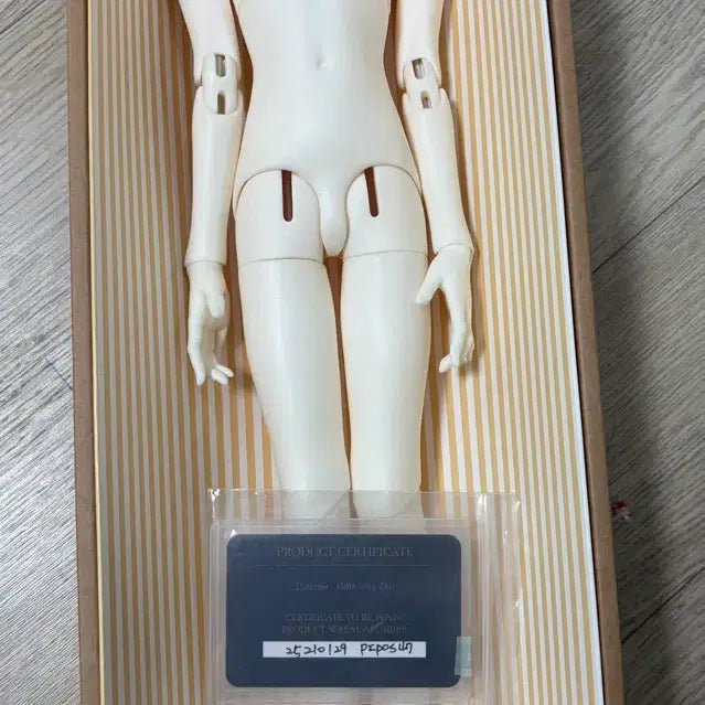 [BUNJANG] Piposdoll 47 White Body / Piposdoll 47 피포스돌47 미백바디