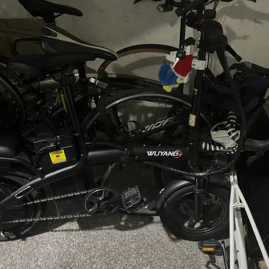 [BUNJANG] WUYANG Electric Bicycle / 전기자전거