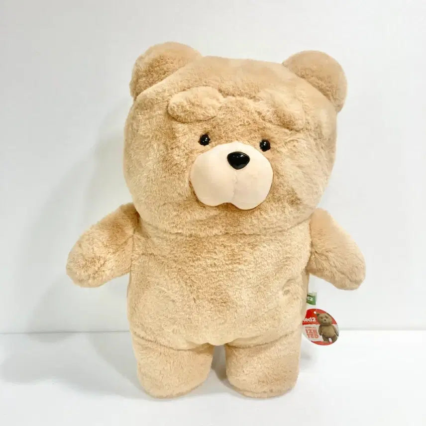 [BUNJANG] 19곰 Ted Jelly Plush 48cm / 19곰 테드 젤리 테드 특대형 곰인형 48cm 판매합니다!!