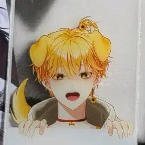 [BUNJANG] Xycode Louis Photocard / 싸이코드 루이쨘 포카