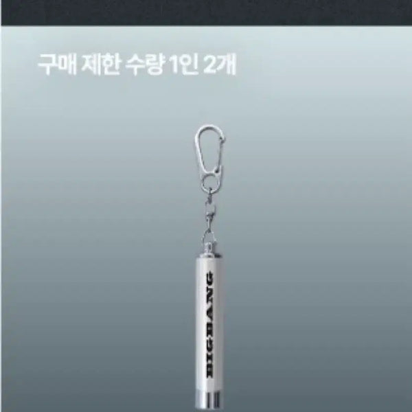 [BUNJANG] BIGBANG Taeyang LED Keychain Silver / 빅뱅 태양 LED 키링 실버