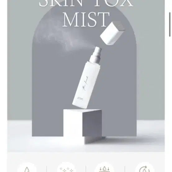 [BUNJANG] TheLOB Skin Tox Mist / 더롬브 스킨 톡스 미스트