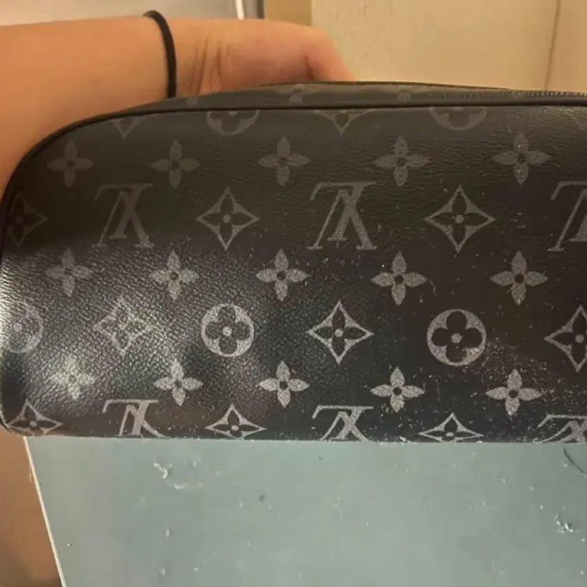 [BUNJANG] Louis Vuitton Dog Carrier / 루이비통