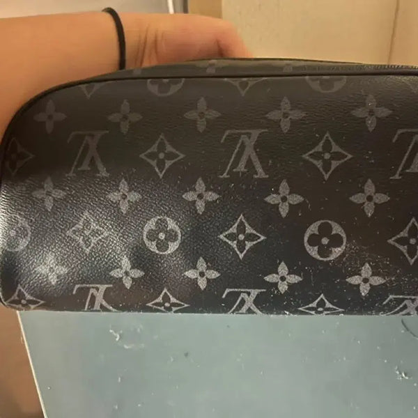 [BUNJANG] Louis Vuitton Dog Carrier / 루이비통