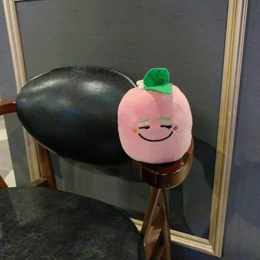 [BUNJANG] Pink Turnip Plush Charm Bag Charm / 핑크색 순무 인형 무우상 인형 키링 가방고리 무우 인형