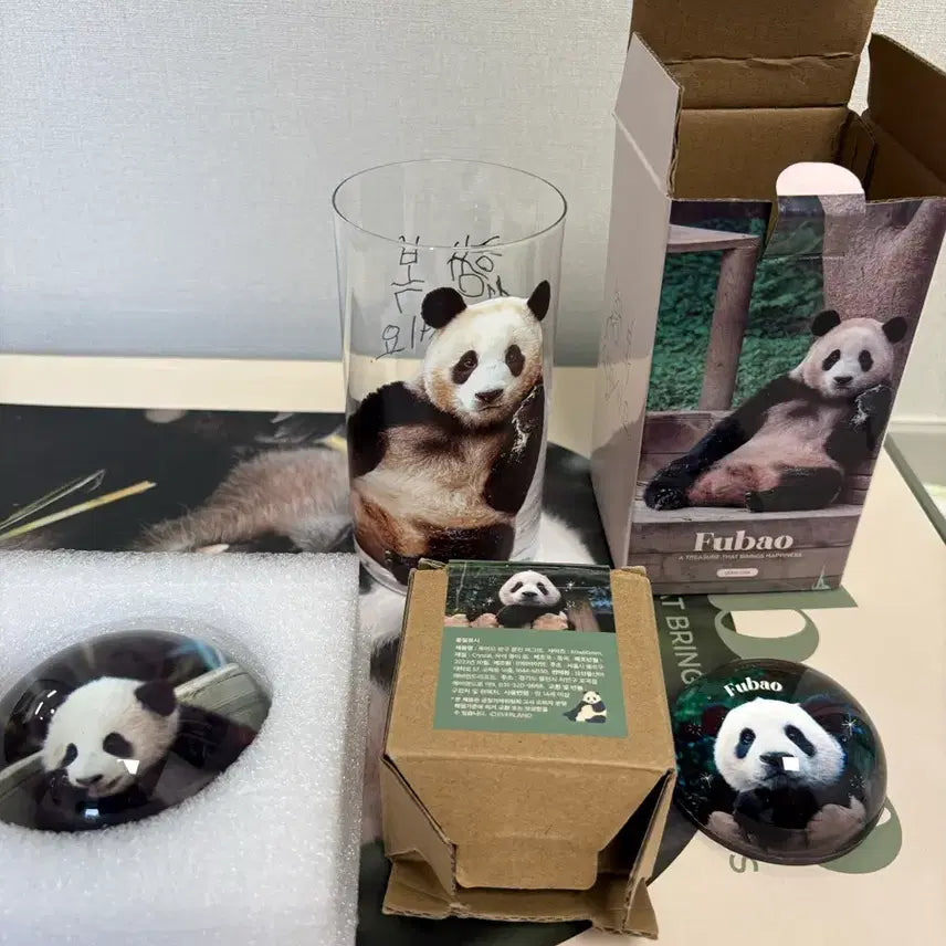 [BUNJANG] Fu Bao Cup and Paperweight Bundle Set / 푸바오 컵 문진 두개 일괄판매