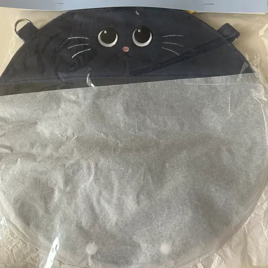 [BUNJANG] RIIZE Wonbin Tonnyangdeok Uchiwa Case Sealed / 라이즈 원빈 토냥덕 우치와 케이스 미개봉 새상품