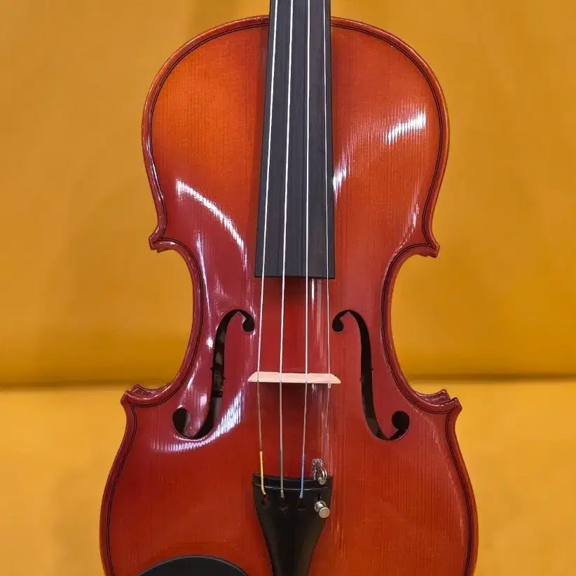[BUNJANG] Seinlo 501 Violin 1/2 with Dominant Strings / 심로501바이올린 1/2 도미넌트현셋팅