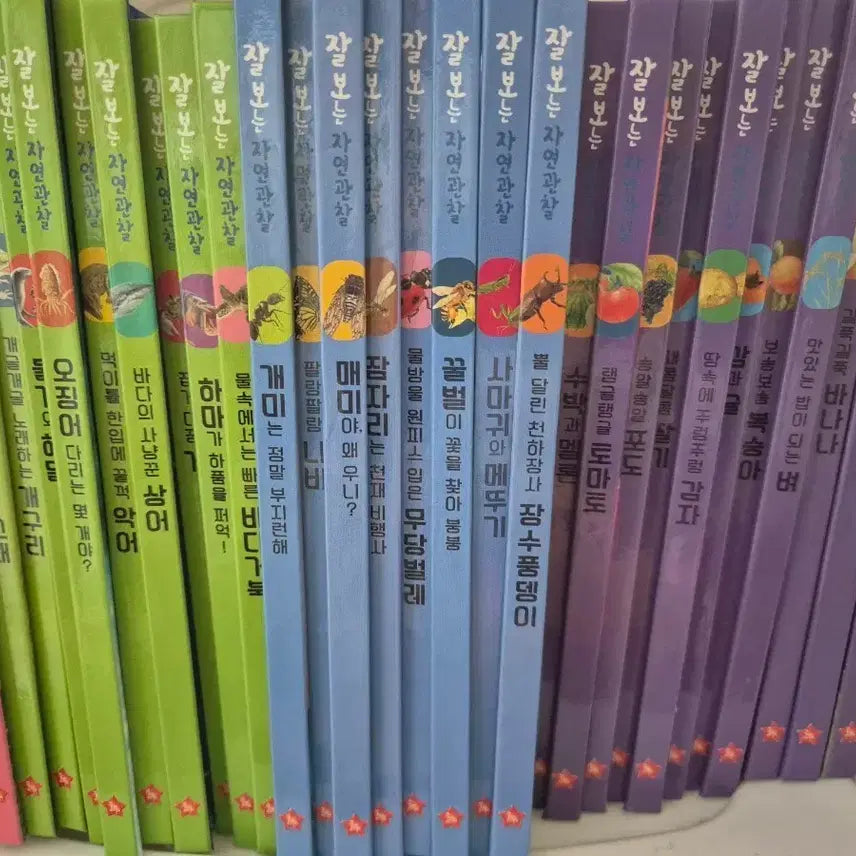 [BUNJANG] Nature Observation Book Set / 자연관찰