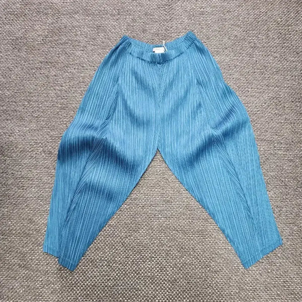 [BUNJANG] Pleats Please Issey Miyake Pants Size 2 / 플리츠플리즈 이세이미야케 팬츠2사이즈
