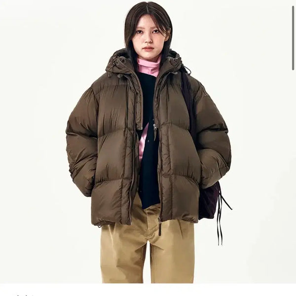 [BUNJANG] Eenoomare Down Parka Brown Men's S / Ee누마레 다운파카 브라운 패딩