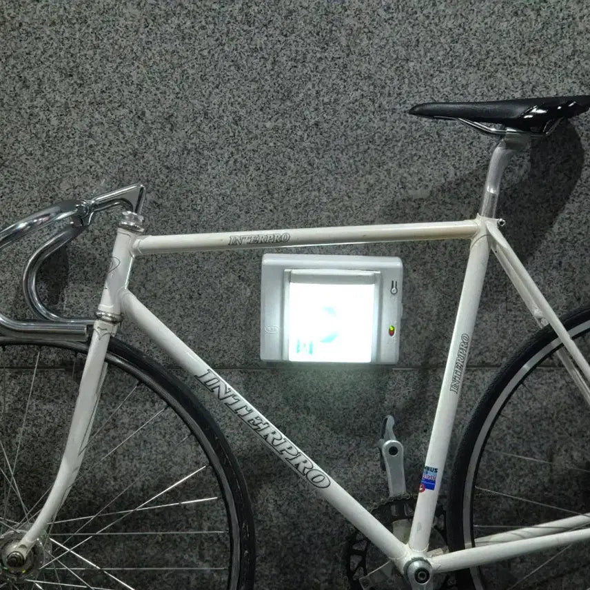 [BUNJANG] Interpro Track Frame Bicycle (53cm) / 인터프로 경륜 판매합니다