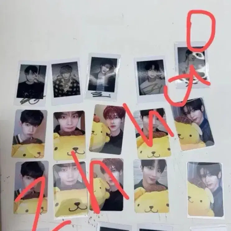 [BUNJANG] ANDABLE Pompompurin Split Set Photocard (Seung-eon) / 앤더블 폼폼푸린 양도(승언)