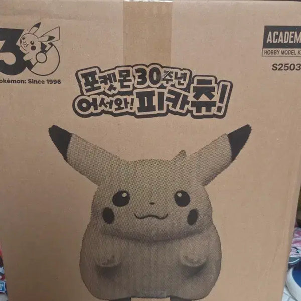 [BUNJANG] Pokemon 30th Anniversary Chubby Pikachu Doll / 30주년 피카츄 뚱까츄 인형