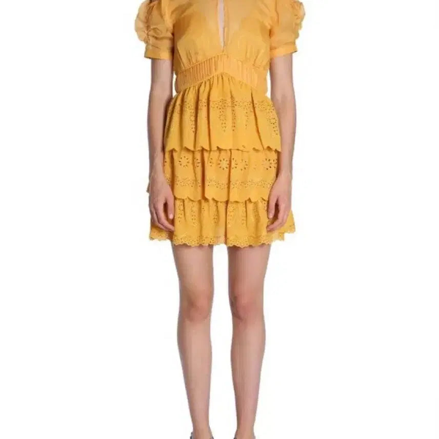[BUNJANG] Self-Portrait Embroidered Chiffon Mini Dress / 매치스패션 셀프포트레이트 쉬폰 자수 미니 드레스 휴양지 원피스