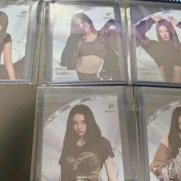 [BUNJANG] Tereca Miyao Die-cut Sticker Set / 테레카 미야오 다이컷 sp 5종 세트 팝니다.