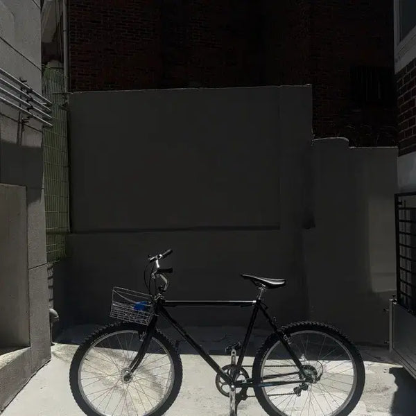[BUNJANG] BRISTOL Fat ATB Bicycle / 브리스톨 팻 자전거 ATB