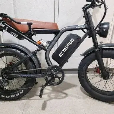[BUNJANG] Easy-Motion Taurus BS Slick 48V 20Ah Electric Scooter / BS슬릭 24년식 자토바이 팝니다