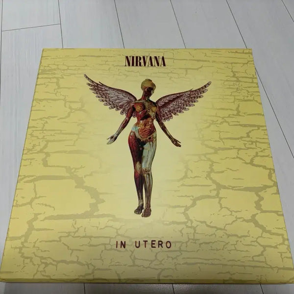 [BUNJANG] Nirvana In Utero 20th Anniversary Edition CD/DVD Set / 너바나 (Nirvana) In Utero 20주년 앨범팝니다