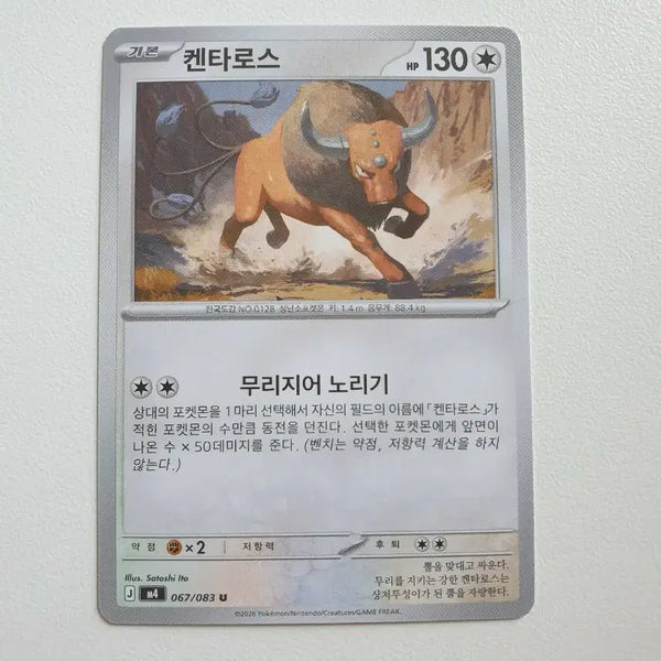 [BUNJANG] Kentauros Pokemon Card / 켄타로스 포켓몬카드