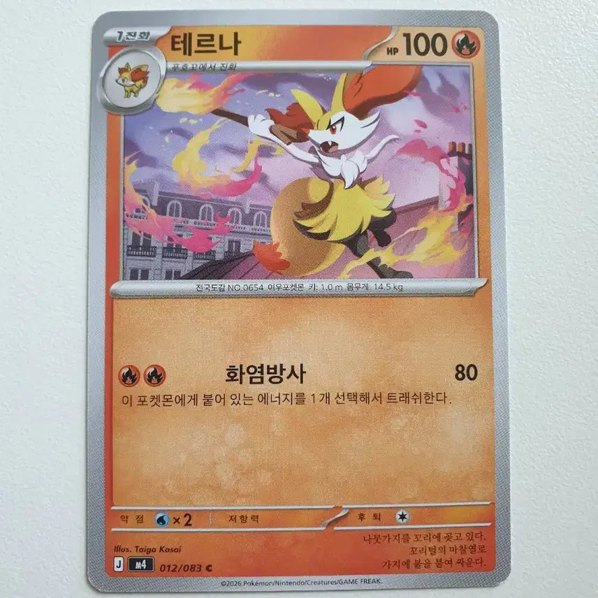 [BUNJANG] Terra Pokemon Card / 테르나 포켓몬카드