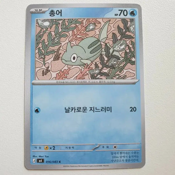 [BUNJANG] Pokemon Card - Totodile / 총어 포켓몬카드