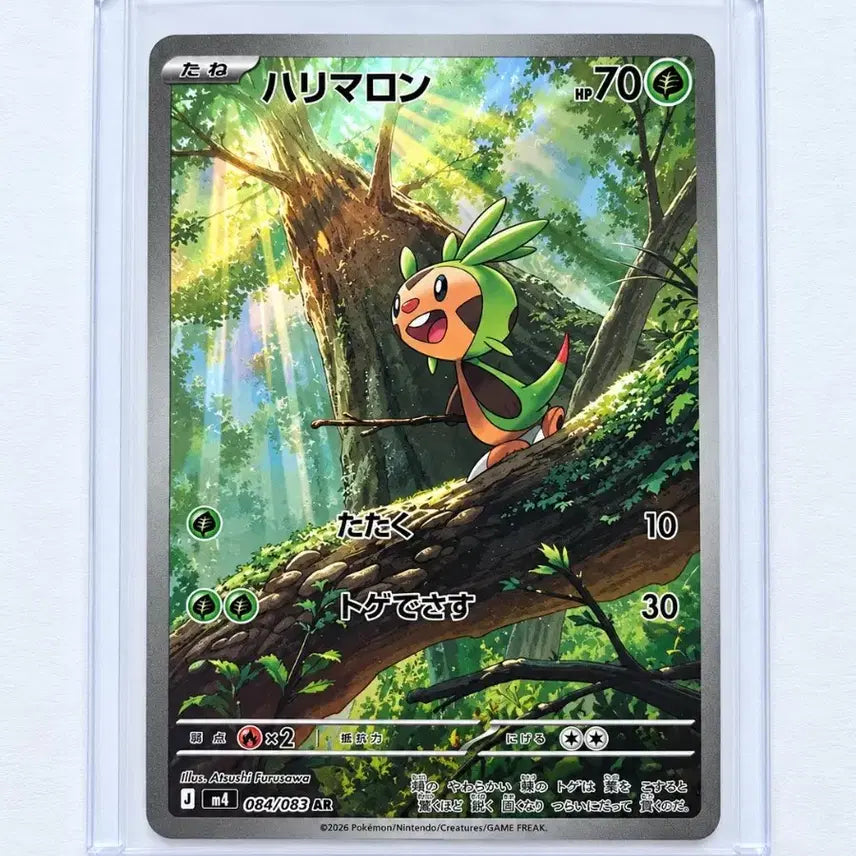 [BUNJANG] Pokemon TCG Chespin AR Ninja Spinner (Japanese Edition) / 포켓몬 TCG 도치마론 AR 닌자 스피너 (일어판)