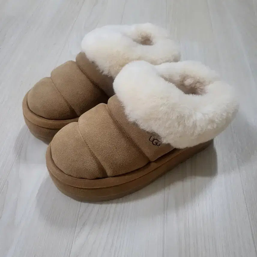 [BUNJANG] UGG Tazzletta Chestnut Women's Boots / 어그 타즐리타 체스트넛 230 새상품
